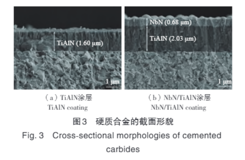 Cross-sectional morphology of cemented carbide